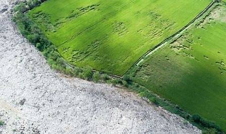 МОСВ отпуска на общините 300 млн. лв. за озеленяване на закрити бунища