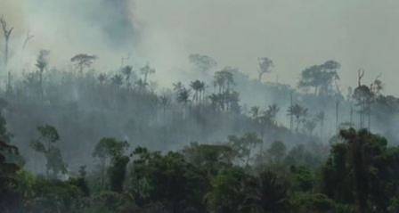 Бразилия е отворена за международна помощ за Амазония