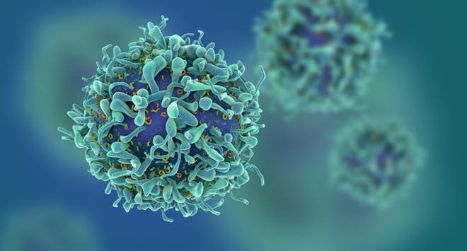 Може ли България да има своя принос в имунотерапията на рака?