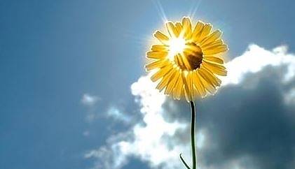 Днес ще бъде предимно слънчево с максимални температури между 26° и 31°