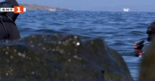 Започва проучването на подводна каменна гора край Созопол