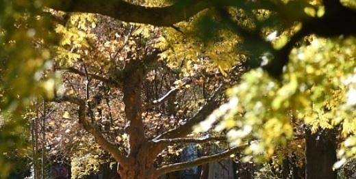 Днес слънчево с максимални температури между 25° и 30°