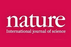 Списание „Нейчър“: Шокиращи твърдения за злоупотреби с човешки органи в Китай поставят под въпрос научни изследвания