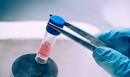 Банка за стволови клетки се изтегля от България: Хиляди семейства са притеснени за пробите им