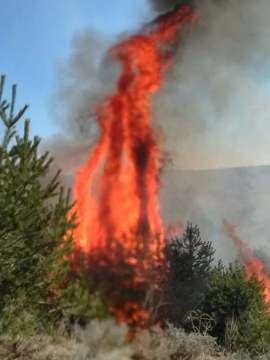 Тошко Бързилов: Пожар гори в района на Сухото езеро в планината Рила