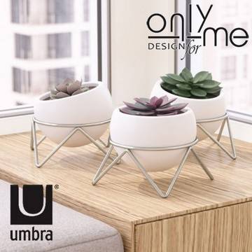 Настолна декорация UMBRA POTSI – комплект