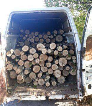 Горски инспектори от РДГ-Кюстендил и служители на ГПУ „Олтоманци“ спипаха товарен автомобил с близо 4 куб. незаконна дървесина
