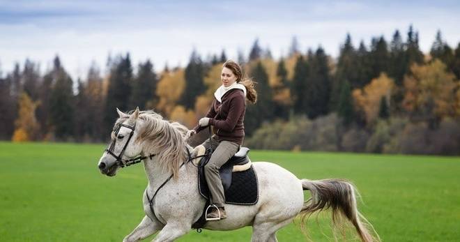 Пий там, където конят пие