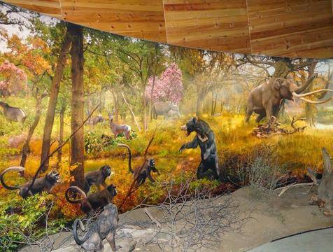 Велинград и Дорково