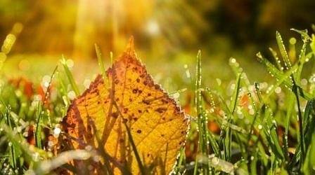 Днес слънчево на места с валежи. Максималните температури ще са между 17° и 22°