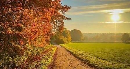 Днес предимно слънчево с максимални температури между 24° и 29°