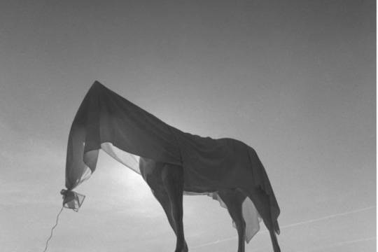 „Прекалено много фотография“