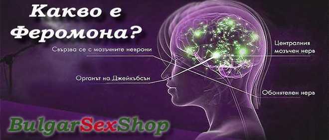 Какво е феромона и помага ли реално да свалите желания човек?