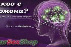 Какво е феромона и помага ли реално да свалите желания човек?