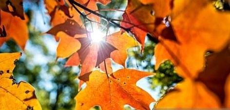 Днес слънчево и топло. Максималните температурите ще са между 22° и 27°