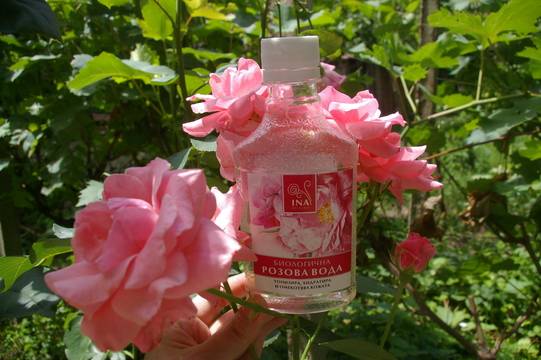 Биологична розова вода Ina Essentials