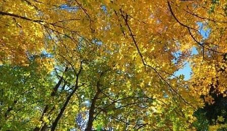 Днес слънчево и топло с максимални температури между 25° и 30°