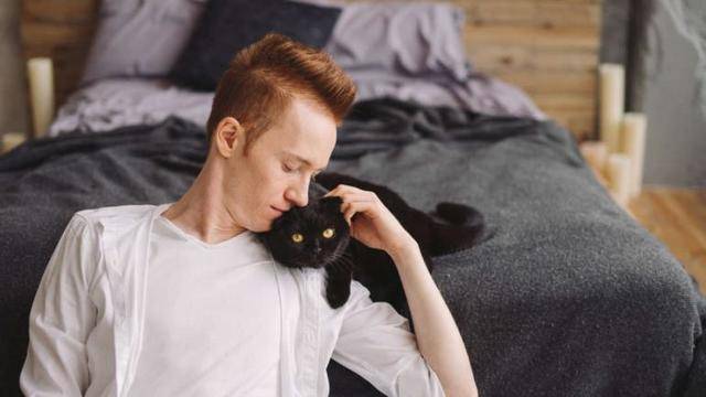 Котките се привързват към хората така, както кучетата и децата