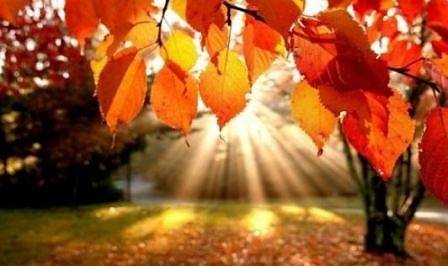 Днес слънчево и топло. Максимални температури ще са между 27° и 32°