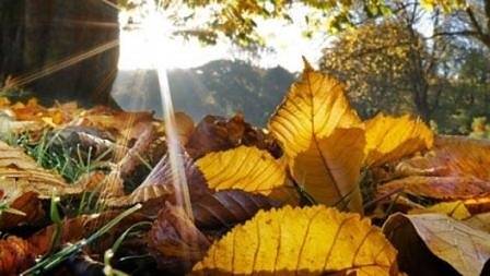 Днес с разкъсана облачност с максимални температури между 13° и 18°