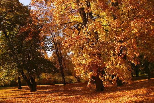 Времето през октомври – по-топло от обичайното