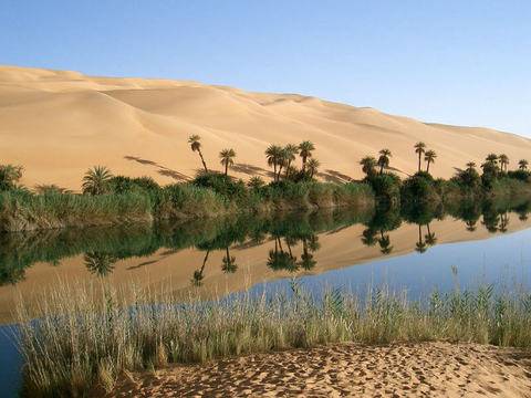 Пустинята Сахара била ‘зелена’ за повече от 6000 години!