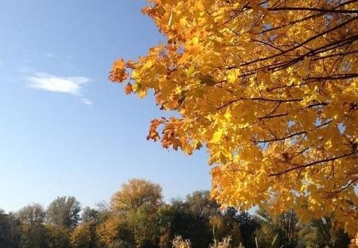 Днес слънчево и топло с максимални температури между 20° и 25°