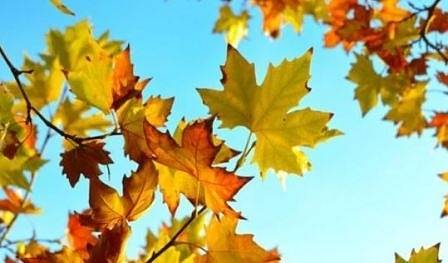 Днес слънчево и топло с максимални температури между 23° и 28°