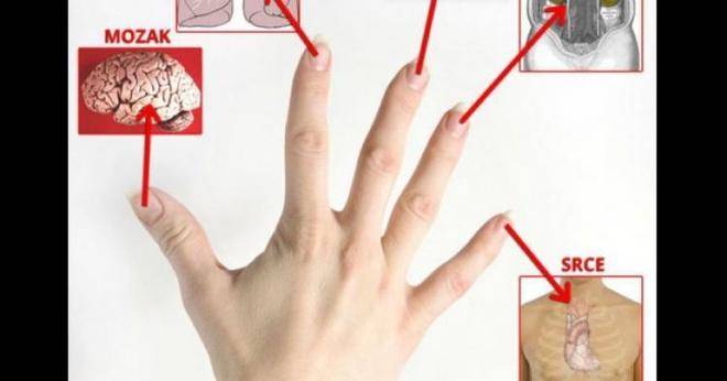 Всеки един от вашите пръсти е свързан с 2 ваши органа и може да бъде излекуван само за 3 минути