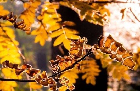 Днес слънчево с максимални температури между 22° и 27°