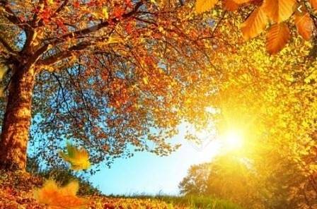 Днес слънчево. Максималните температури ще са между 22° и 27°