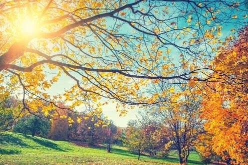 И днес слънчево с максимални температури между 21° и 26°