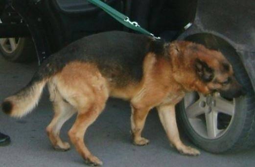 Митническо куче откри 940 кутии нелегални цигари на „Дунав мост 2“