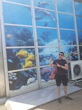 Изкупуване на Коли и Имоти