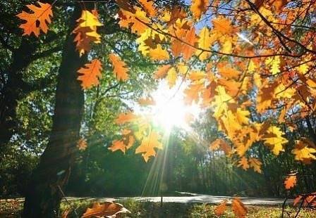 Днес слънчево и топло. Максималните температури ще са между 22° и 27°