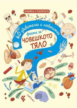 60 удивителни и любопитни факта за човешкото тяло