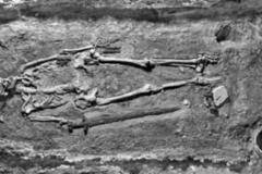 Защо този скелет се превърна в ябълката на раздора за нацистите и СССР |