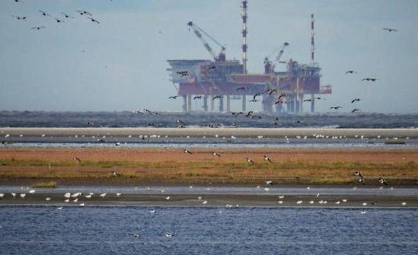 Ето какво се случва с петрола, паунда и еврото |