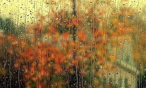 Днес облачно с валежи. Максималните температури ще са между 7° и 12°