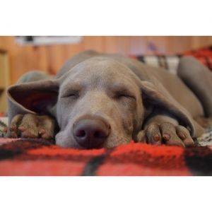 Как осветлението може да Ви помогне за по-добър сън