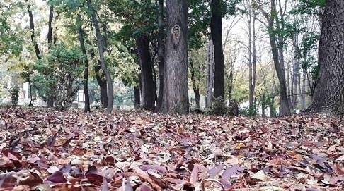 Днес облачно без валежи. Максималните температури ще са между 11° и 16°