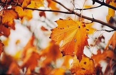 Днес предимно облачно с максимални температури между 14 и 22°