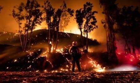 Овладяха пожарите в Калифорния. Матю Макконъхи доставя храна на пожарникарите (СНИМКИ)