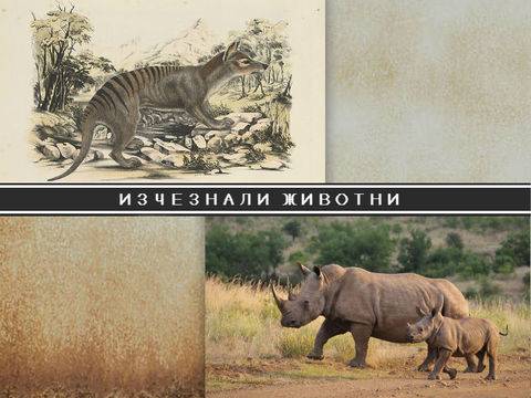 5 животни, които изчезнаха през последните 100 години