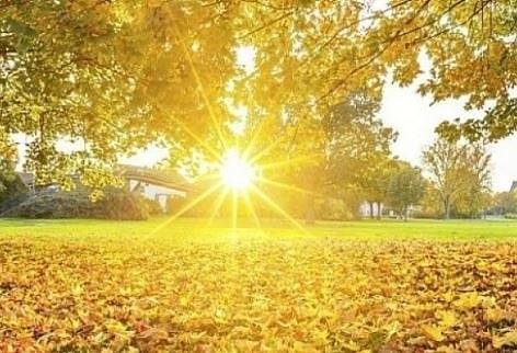 Днес слънчево и топло с максимални температури между 21° и 26°