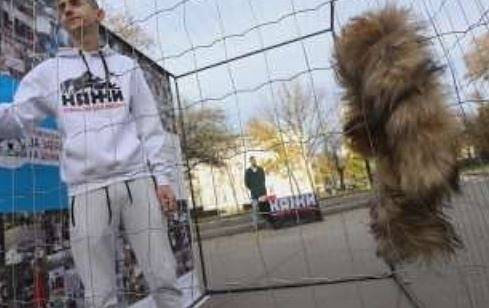 Протест пред НС срещу убиването на животни заради ценните им кожи