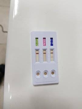 Парвовирусна инфекция при кучетата