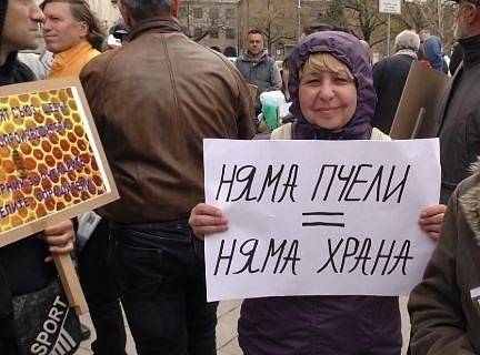 Пчеларите на протест: Искат забрана на химическите препарати в земеделието