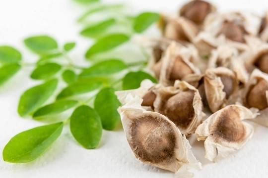 Моринга, холистичен подход към красотата