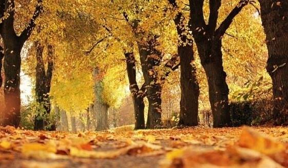 Днес преди обяд облачно, следобед слънчево. Максималните температури ще са между 15° и 20°